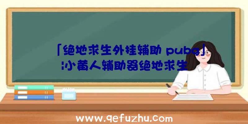 「绝地求生外挂辅助